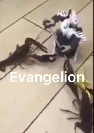 Lobster unit 01