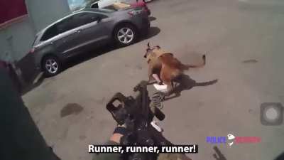 SWAT officers shoot suspect after aiming gun at K9’s Head! NSFW!!