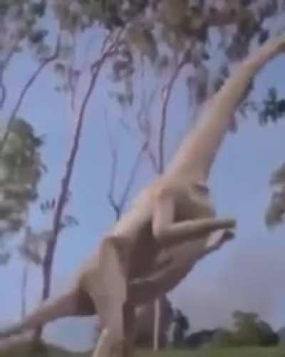 Welcome to Jurassic Juan park