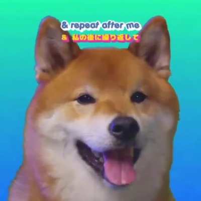 Doggy teaches you how to be self confident!