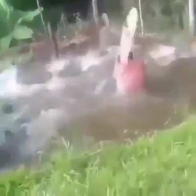 One fish, Two fish, thr- SWEET FANCY MOSES!