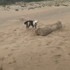 He’s upset because he can’t pick up the ‘big stick’