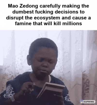 What could possibly go wrong?