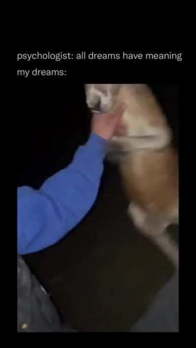 An average day in Australia