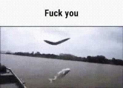 fuck you