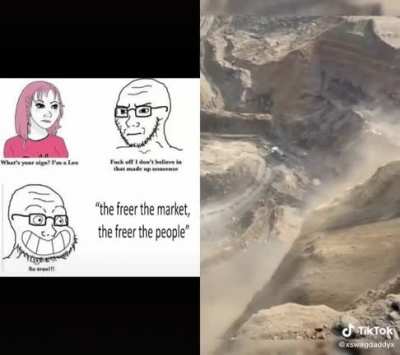 They 