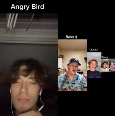 The angry bird
