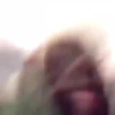 si