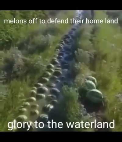 Melons be defendin' doe!?!!?? (not mine my friend sent it in discord)