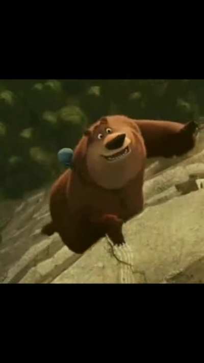 🤣the bear