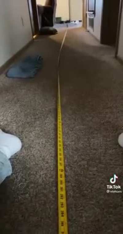i'm scared of these things now
