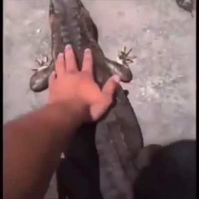 mansinho