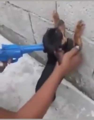 cachorro da favela ser como: