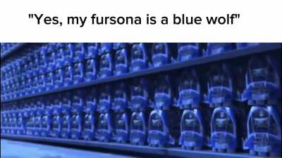 Furry🟫irl