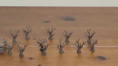 Run Forest, Run!