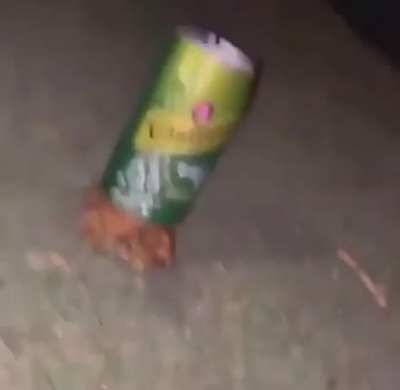 Frog😳