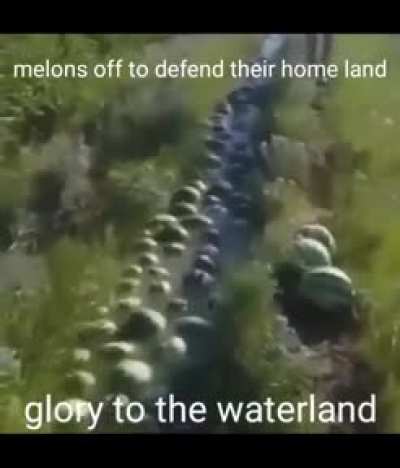 Watermelon Stalin And his Generals Major Seed and Major Melon.