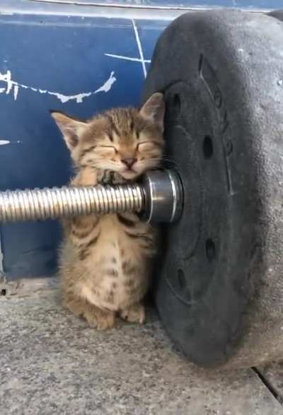 Personal trainer snoozing on the job