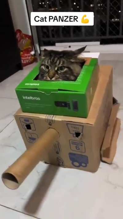 Muito eu no meu pazerwagen IV (1942)