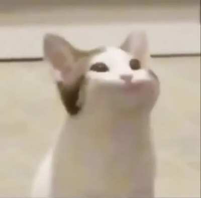 La pecky