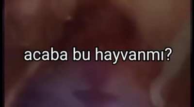 Ateistlerin cevaplayamadığı sorular