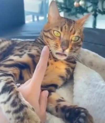 Груст<wbr>ный кусь