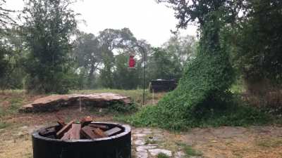 Texas Tin Roof