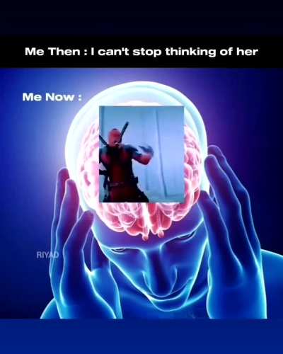 Literally my every brain cells 