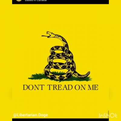 Libertarianism