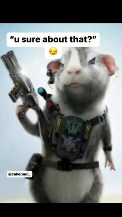 WTF
