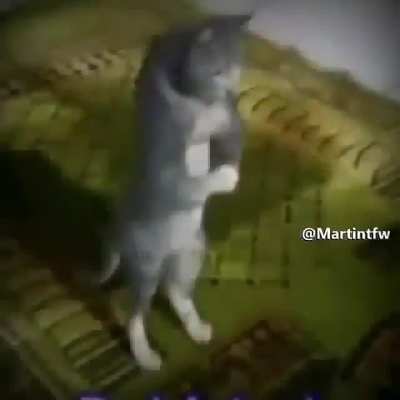 Nada de beijos antes do casamento