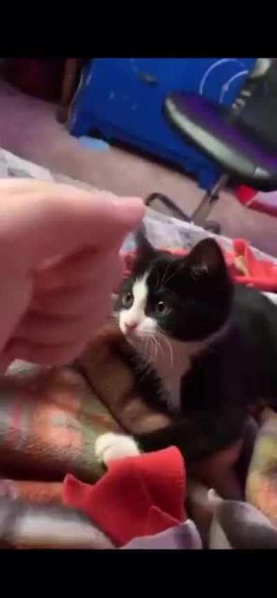 Rock Paper Scissors... AHHHHHHHH