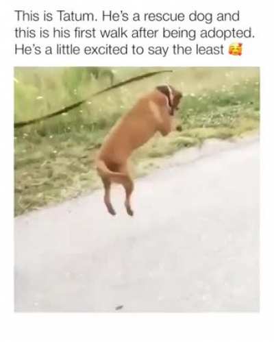 He's a bouncy boy
