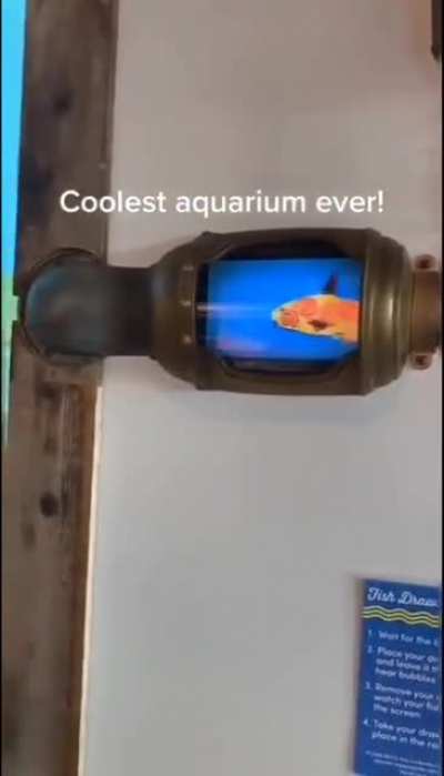 The coolest aquarium ever