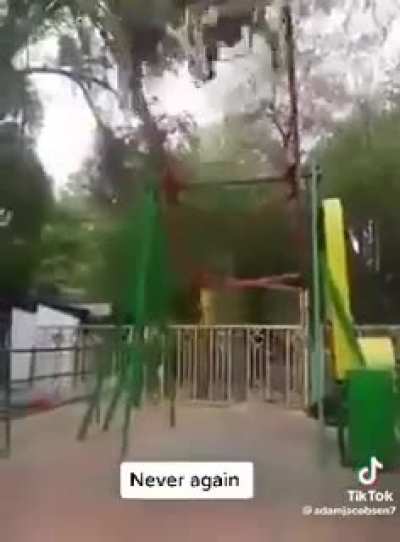 Brinquedo pica