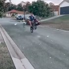 HMB while I do a trick for my kid