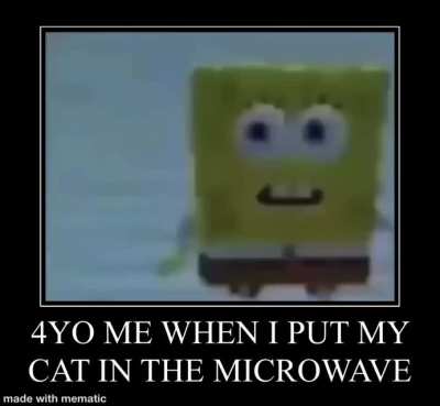 No whiskers