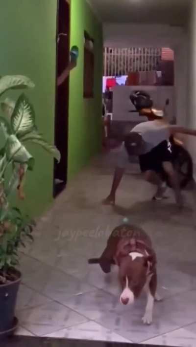 Run for your life...