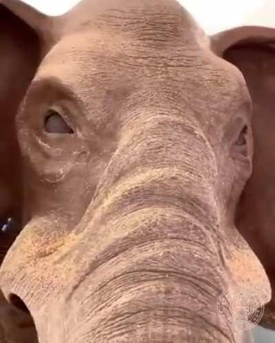 This sculptor's work