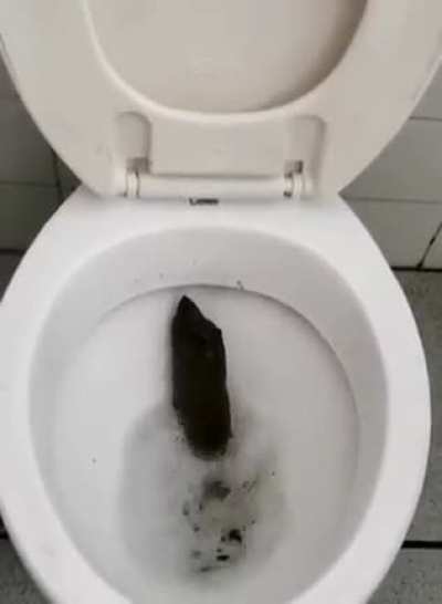 Isso não é um humano!