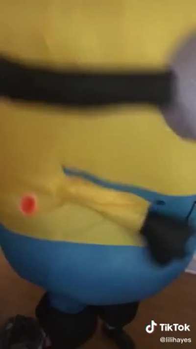 Minion Jail