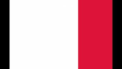 flag of france except its beep block skyway from super mario 3d world