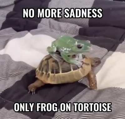 🥰🥰