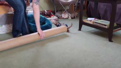 Look at me go!!