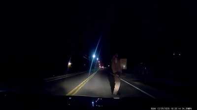 Just walks out from behind delivery truck at night, doesn't even look!