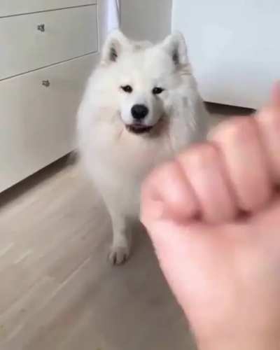 Wait a minute