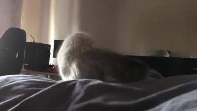 She did not see that coming