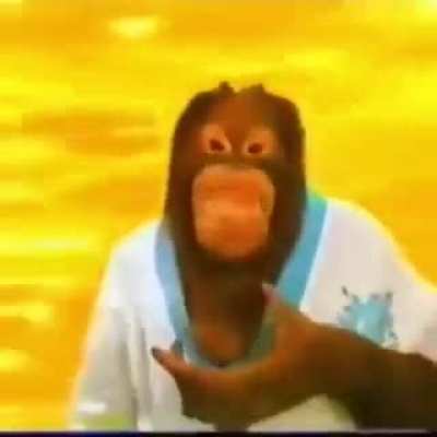 Monkey