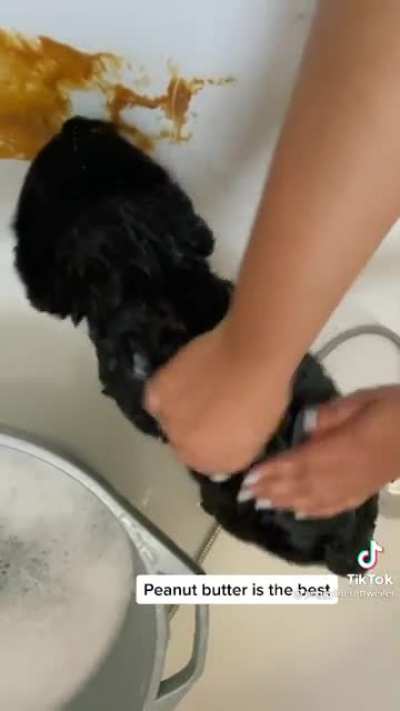 Bath time 🐕