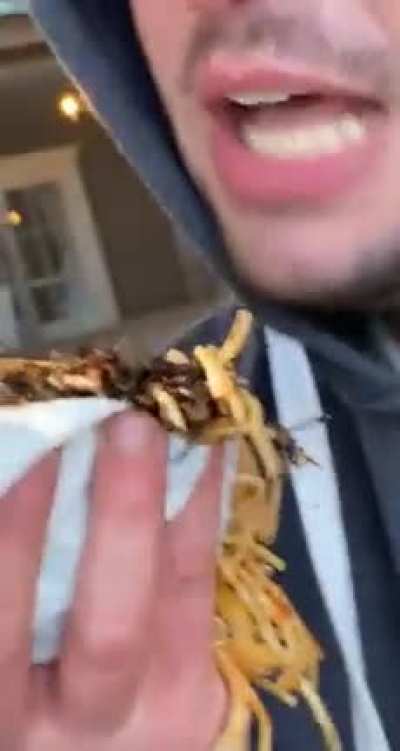 Saying sweet nothings to a wad of dirty spaghetti